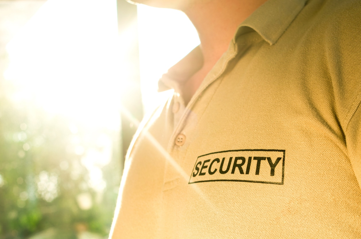 What Does Loss Prevention Mean Intercept Security Services